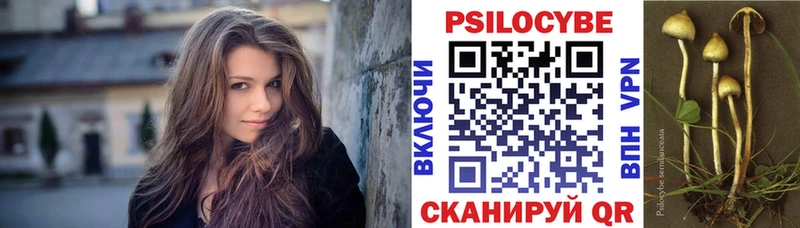 Галлюциногенные грибы мухоморы  кракен зеркало  Чаплыгин 